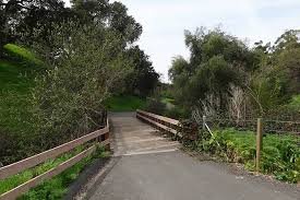 Sabercat Creek Trail