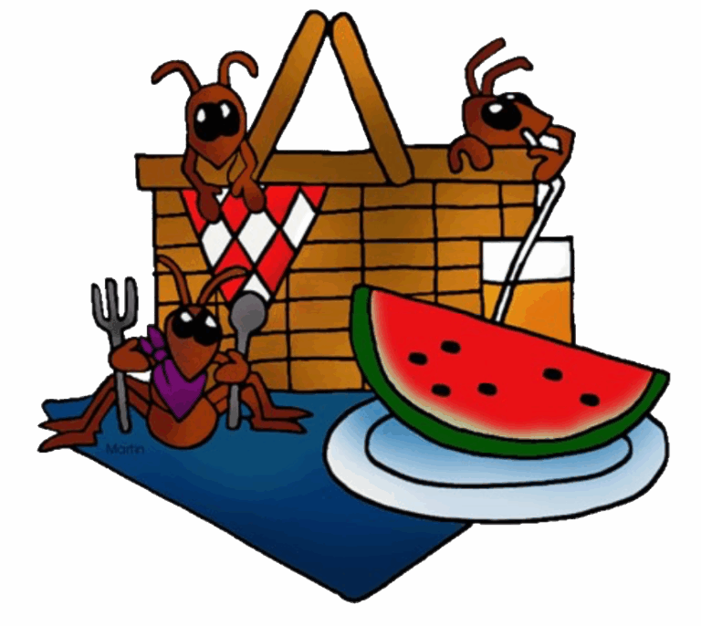 Membership Appreciation Picnic