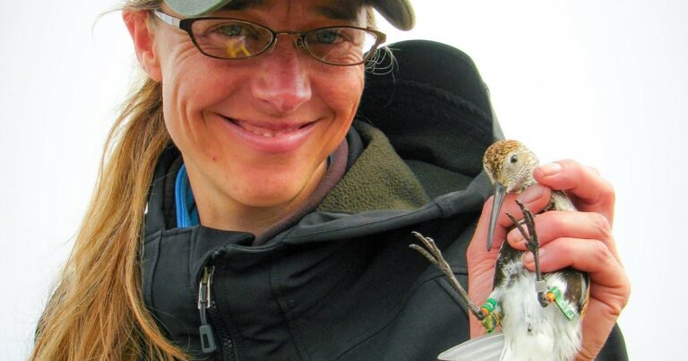 River Gates: From Alaska to Tierra del Fuego: Audubon’s Conservation Impact across the Pacific Flyway