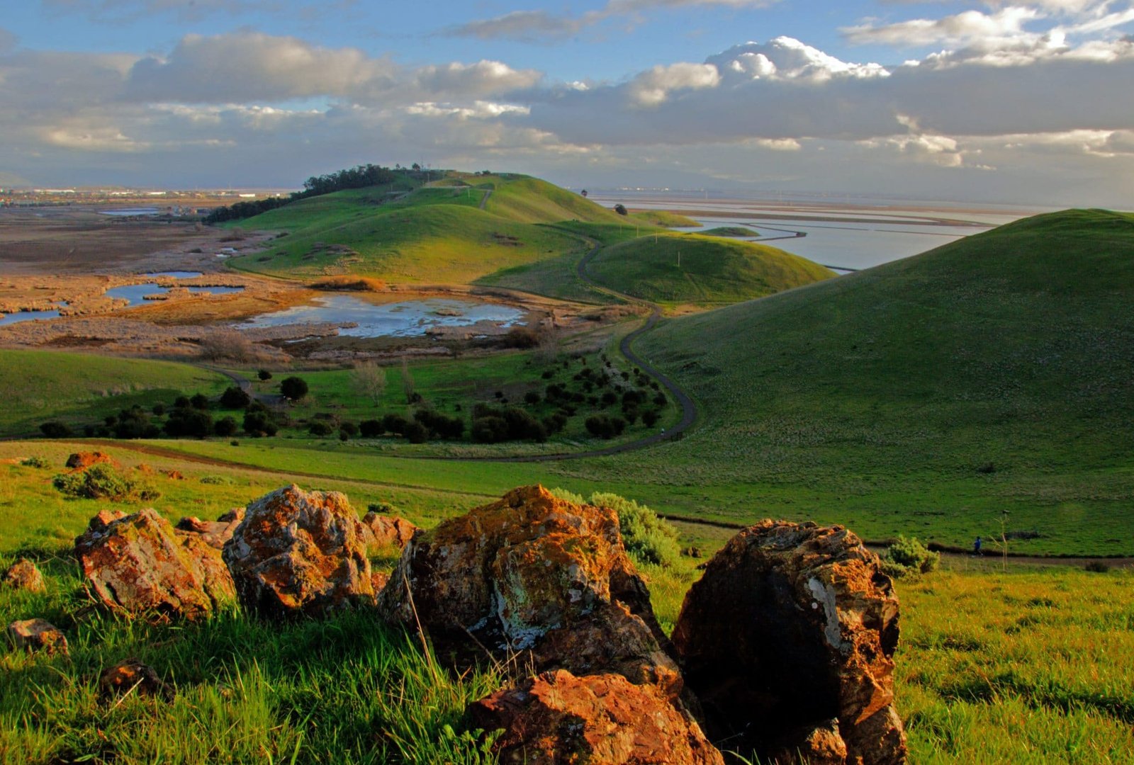 Coyote Hills Regional Park