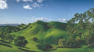 Diablo Foothills, Walnut Creek