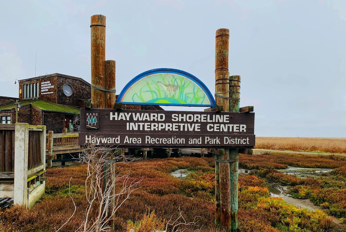 Hayward Shoreline Interpretive Center