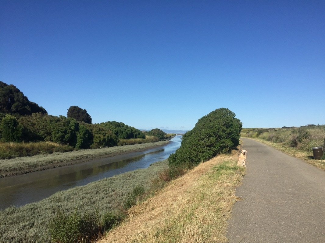 Hayward Regional Shoreline