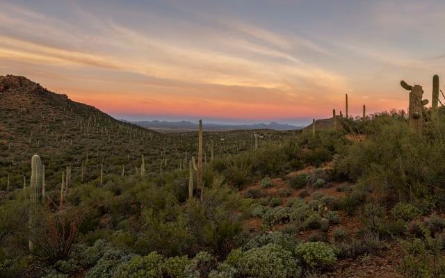 Southeast Arizona